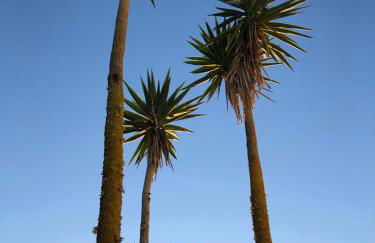 Casa Tazmin - Foto 36