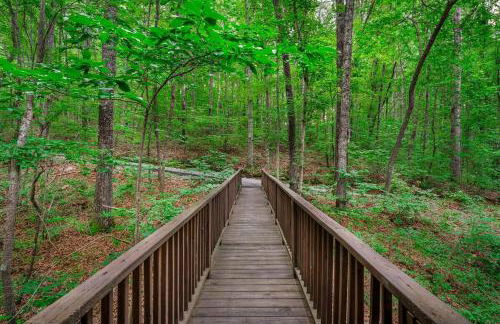 Peaceful Hideaway Treehouse near Little River Canyon - Foto 11