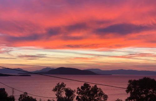 The Bordeaux Door - Foto 2