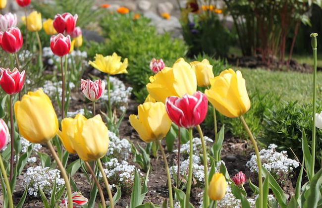 Linda Vista Apart Hotel - Photo 40