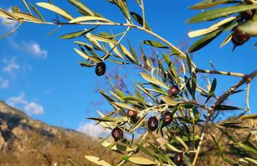 Casa Blanca, Acequias, Lecrin valley, Granada - Foto 28