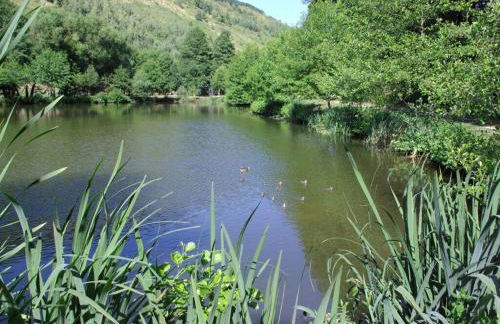 Holiday Apartment Magnolia - Foto 23