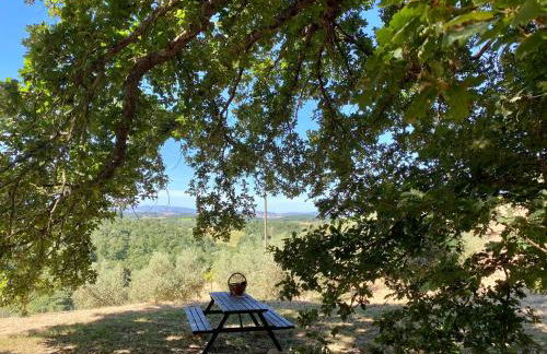 La Casina della Quercia, Your Tuscan Oak Tree House - Foto 22