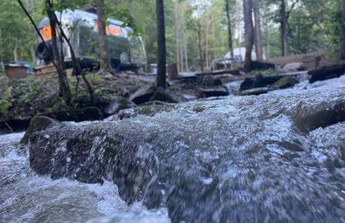 Streamside ShinyTiny Airstream in the Smokies - Foto 30