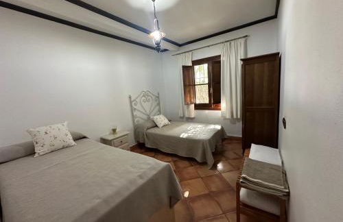 La Algazara - Foto 31