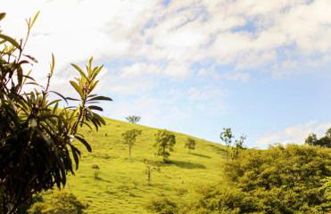 Chalés São João - a 500m da Cachoeira de Bom Jardim - com piscina - Foto 8
