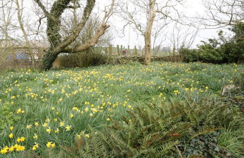 Bodegri Cottage - Photo 21