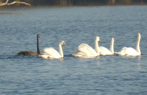 Au clos du pont, appartement relax - Foto 8