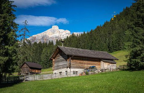 Apartements Precalalt - Foto 73