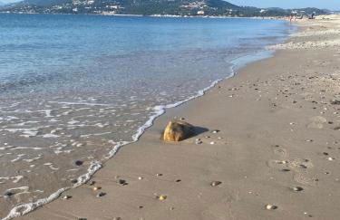 VILLA VUE MER sur la presqu'ile de GIENS - Foto 2