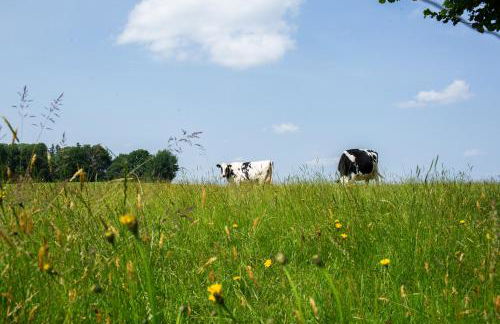 Tiny House 1 im schönen Allgäu mit großem Garten, Naturnah - Foto 23