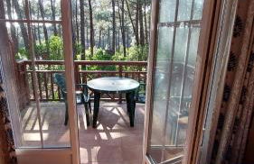 AGREABLE T2 LISIERE DU GOLF LACANAU OCEAN - Foto 2