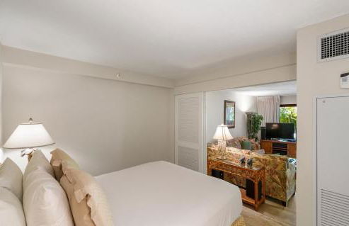 Kaanapali Alii 2 Bedroom Garden-Mountain View - Foto 62