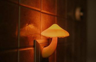 Przylesie 12 - Foto 33