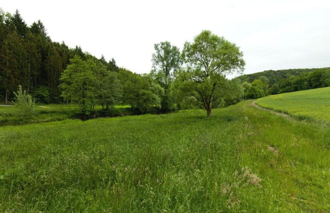 Regal Apartment in Pracht With Garden and Grill - Foto 33