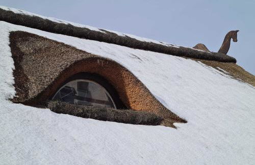Urlaub "Unterm Storchennest" im Ostseeland Rerik - Foto 42