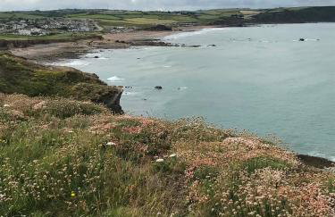 Chalet 18 Widemouth Bay Holiday Village - Foto 13