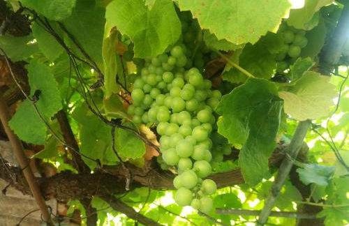 La Casita de Barrañán Playa - Foto 53