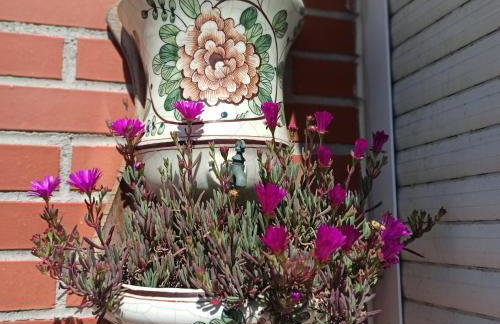 Bajo con jardín privado - Foto 9
