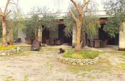 B&B Lu Palummaru - Foto 6