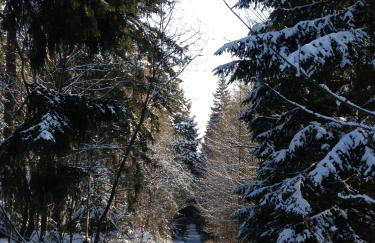 Ferienhaus Bergwiese - Foto 34