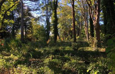 The Annexe at Fishponds - Photo 40