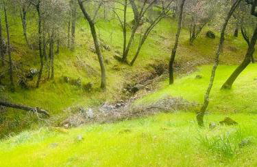 Yosemite family getaway w lake, golf, horses, pool - Foto 26