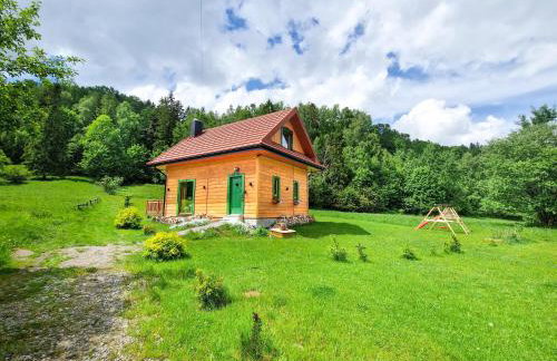 Górskie Siedlisko - 3 Chaty - Foto 32