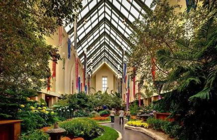 Cozy 5 BD house near Blackstone and UNMC - Foto 49