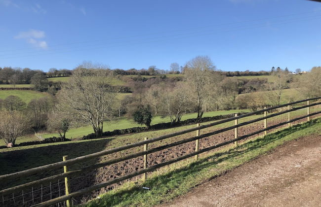 Welsh Marches at Upper Glyn Farm - Foto 46