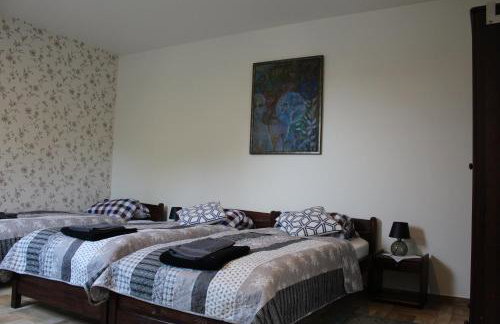 Koci Grzbiet Agroturystyka - Foto 33