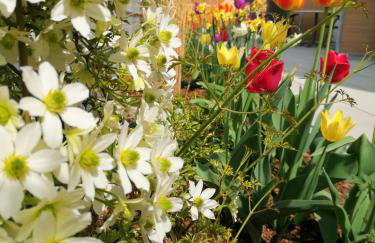 INhouse - Wohnen auf Zeit - Photo 41