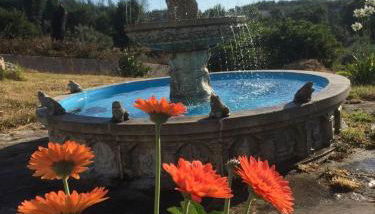 Villa Casa da Rosa, com piscina privada - Foto 4, Garden, Garden view