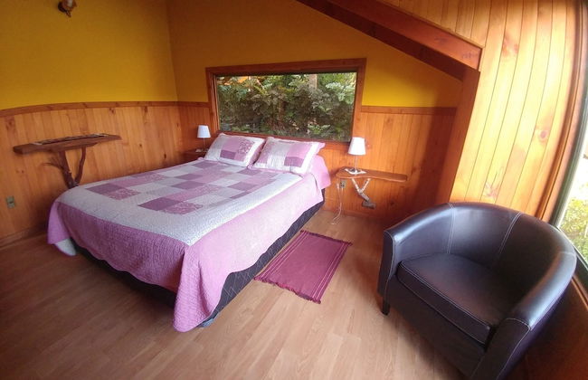 La Rueda del Chucao - Foto 17