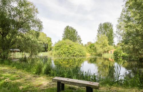 Kingfisher - Foto 17