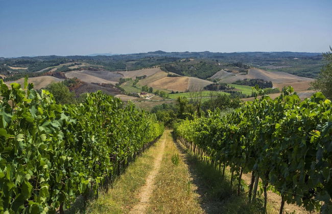 Farmhouse in Tuscany With Pool & Wine Tasting - Foto 26