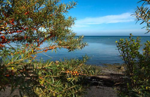 Gollwitzer Park Sturmvogel - Foto 10