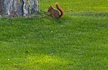 pontons view residence - Photo 39