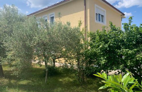 Croatiaumag - Foto 40