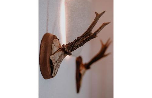 Gästehaus SeeZeit - Foto 13