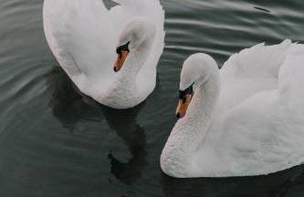 The Cotswold Farm Hideaway - Foto 15