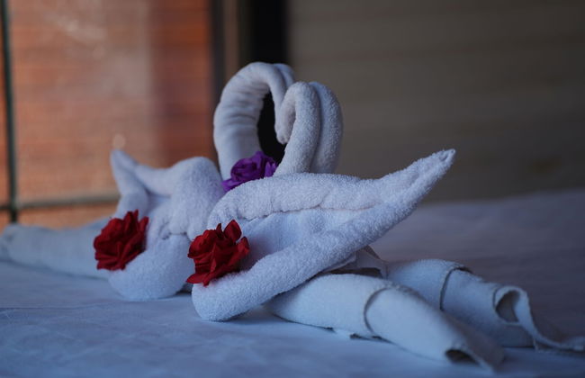 Renka Holiday Houses and Caravan - Foto 11