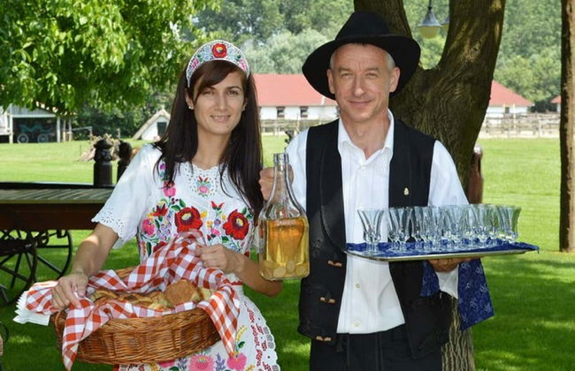 Escursione alla Pusta e spettacolo equestre - Foto 2