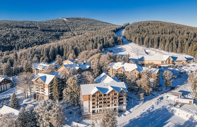 Forest Park Resort & SPA - Foto 1