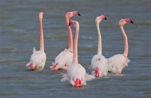 MONOLOCALE YELLOW - Foto 16