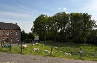 Fewo Hammelblick - Foto 14
