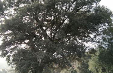 A 11 km de Riopar Casa Acogedora con sabor antaño - Foto 70