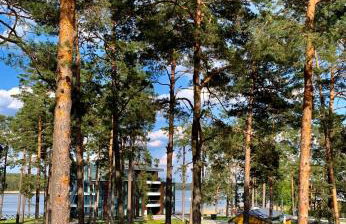 REMAR - Apartamenty Zefir nad Jeziorem Necko - Foto 1