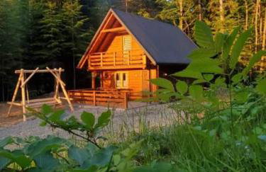 Domek Polana Przyborów - Foto 1