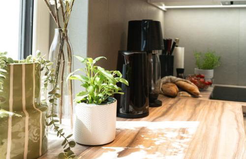 House 756 Mainz: Families, Friends & Business – Sauna, Parking, Near Messe & Airport - Photo 30